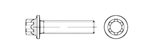 DIN 34800 Flanşlı Torx Civata